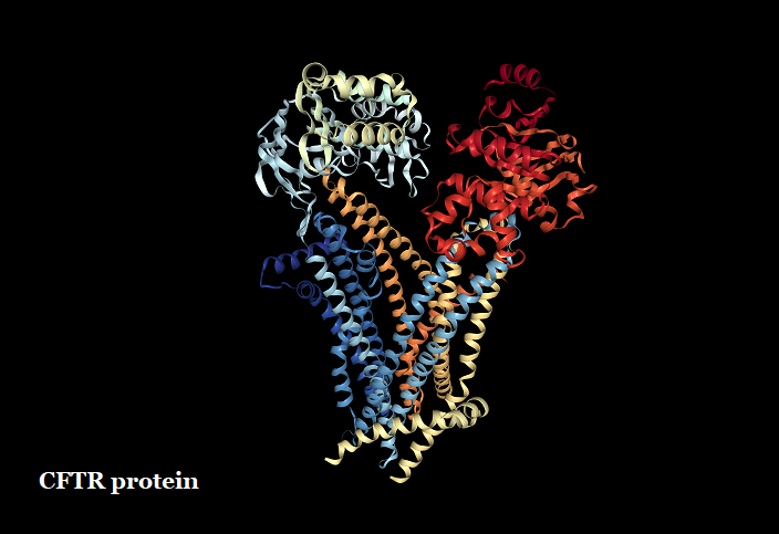 Cystic Fibrosis Transmembrane conductance Regulator